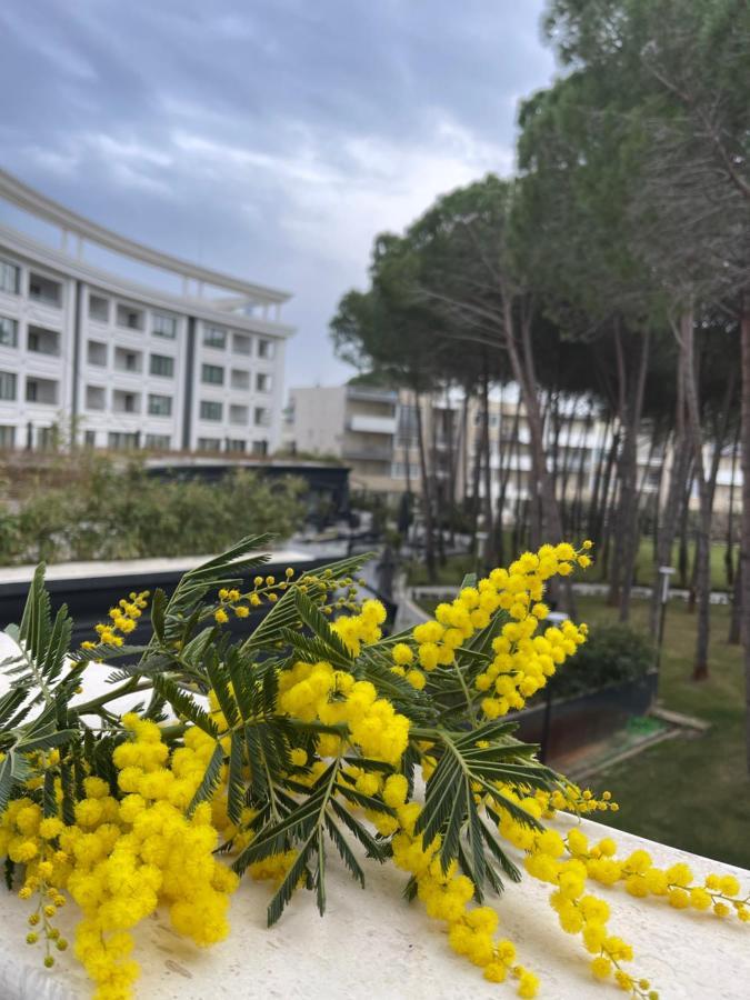 Eme - Kompleksi Lura 2 Gjiri I Lalzit * Durrës